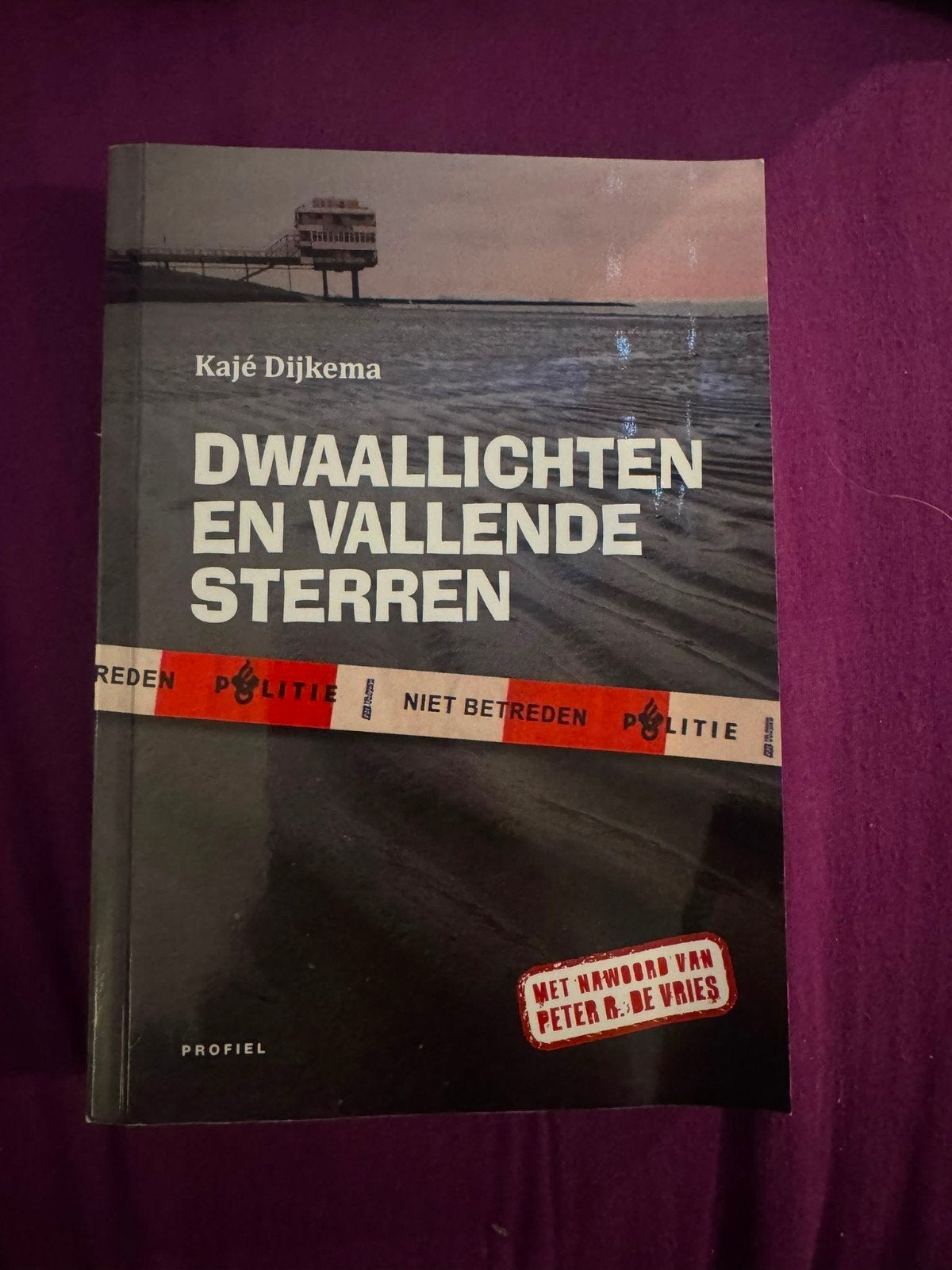 Dwaallichten en Vallende Sterren - Kajé Dijkema, Boeken, Ophalen of Verzenden, Gelezen, Kajé Dijkema