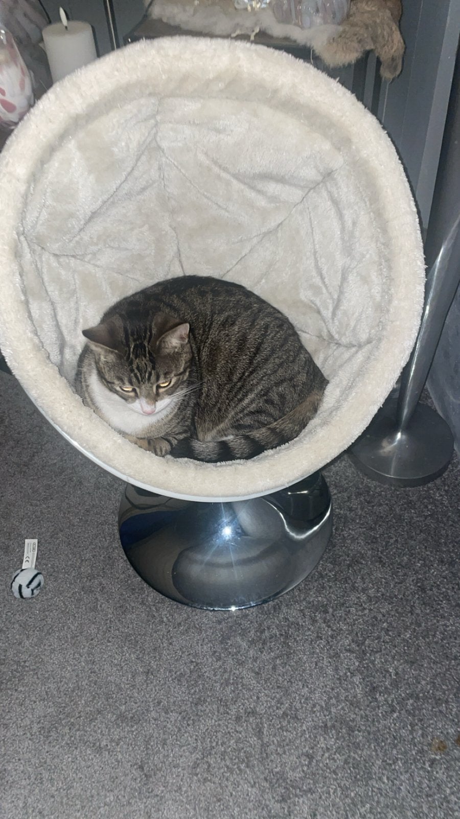 Katten stoeltje, Ophalen of Verzenden, Zo goed als nieuw