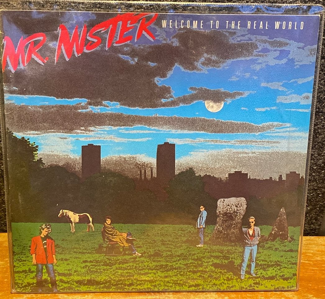 Mr. Mister, Cd's en Dvd's, Vinyl | Rock, Zo goed als nieuw, Poprock, Ophalen of Verzenden
