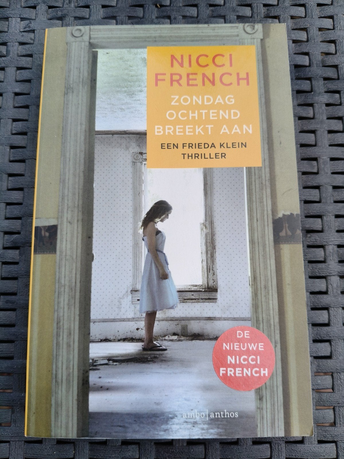 Zondagochtend Breekt Aan - Nicci French (Frieda Klein), Boeken, Thrillers, Gelezen, Europa overig, Nicci French, Ophalen of Verzenden