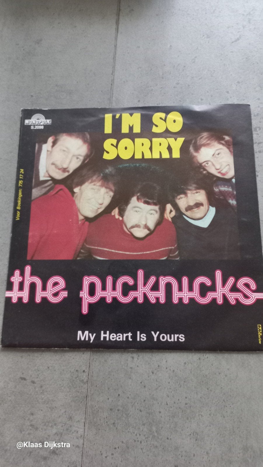 The Picknicks - I'm So Sorry / My Heart Is Yours (Single), Cd's en Dvd's, Ophalen of Verzenden, 1970 - 1979, Gebruikt, Pop