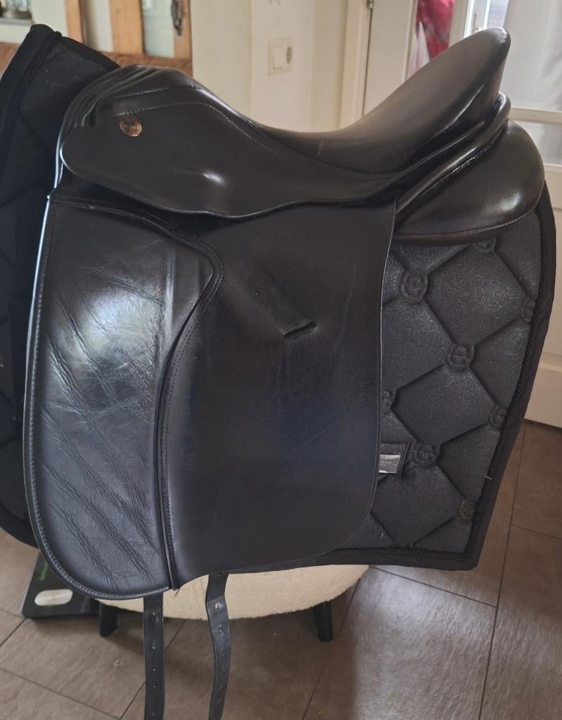 KN Allegro 17 inch, smalle kamer, Dieren en Toebehoren, Ophalen, Gebruikt, Dressuur