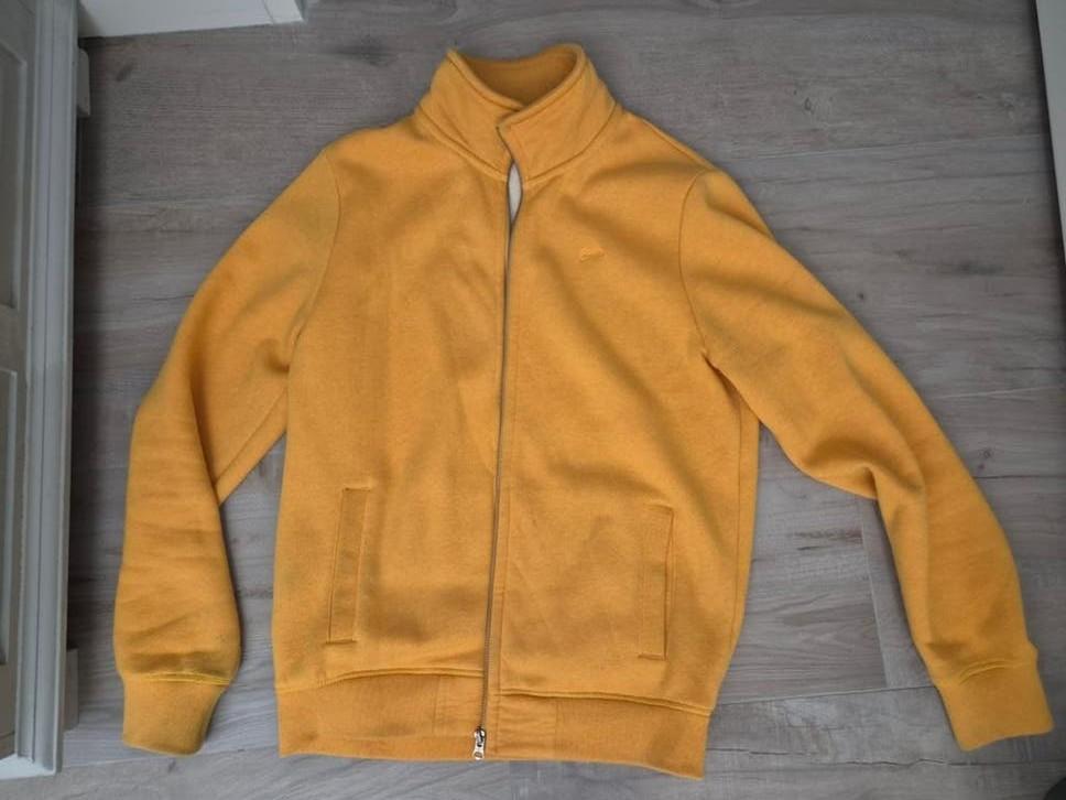 Superdry vest maat L, Maat 52/54 (L), Geel, Ophalen of Verzenden, Gedragen