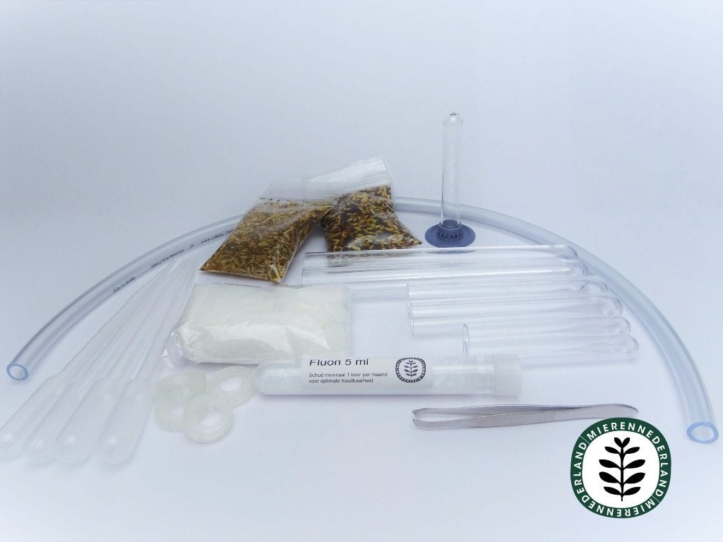 ZAADETERS STARTERS SET I MIEREN HOUDEN I MESSOR, Dieren en Toebehoren, Insecten en Spinnen, Mieren