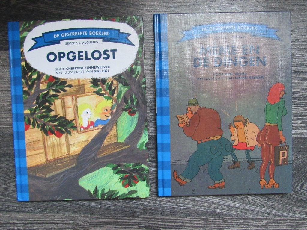 BORRE GROEP 6, Boeken, Kinderboeken | Jeugd | onder 10 jaar, Ophalen of Verzenden, Zo goed als nieuw, Fictie algemeen