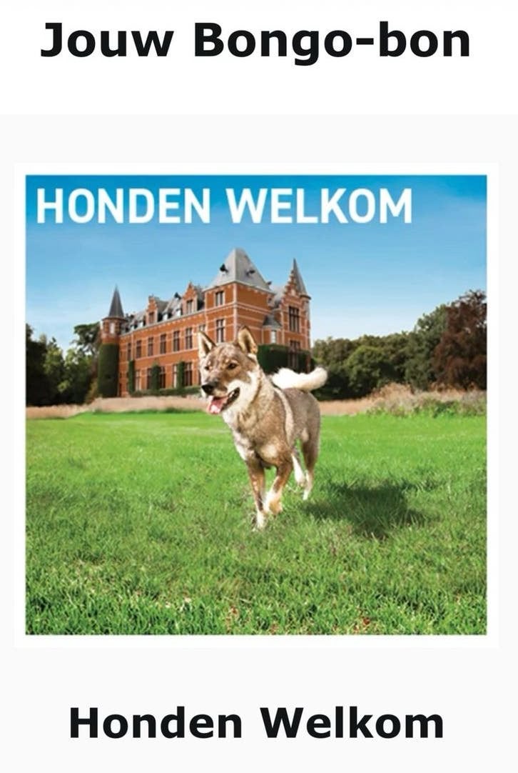 Bongo Cadeaubon – Overnachting met hond(en) + ontbijt, Tickets en Kaartjes, Twee personen, Cadeaubon
