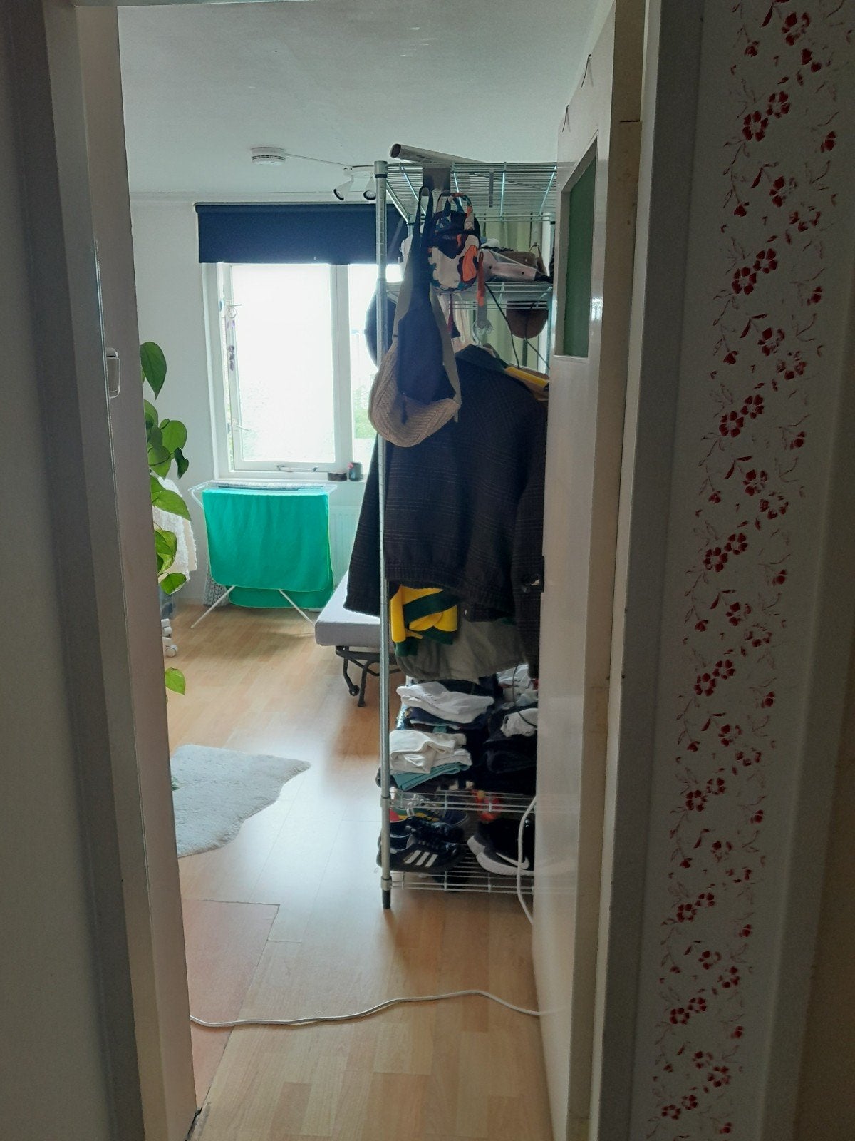 kamer te huur in zwolle 6min fietsen van centrum., Ophalen, Rechthoekig, Minder dan 50 cm, Minder dan 100 cm