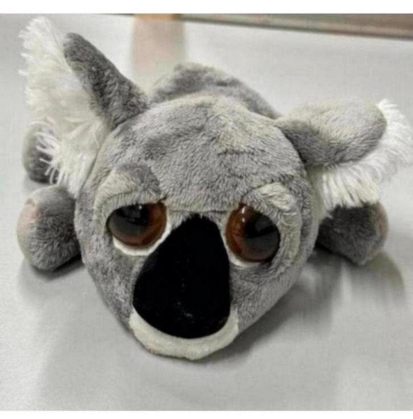 Russ Li'L Peepers Koala-beer 25cm Misha koalabeer knuffel, L, Overige typen, Grijs, Nieuw