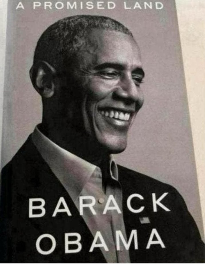 A Promised Land - Barack Obama (Engels), Ophalen of Verzenden, Zo goed als nieuw, Politiek