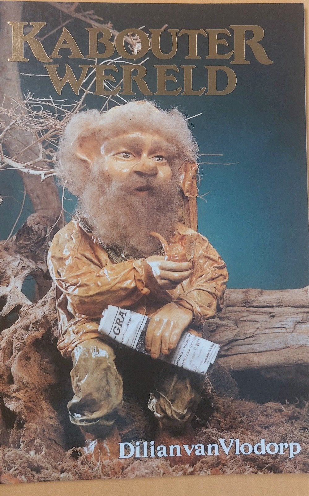 Kabouter Wereld - Dilian van Vlodorp - Knutselboek, Ophalen of Verzenden, Zo goed als nieuw, Fantasie, Knutselboek