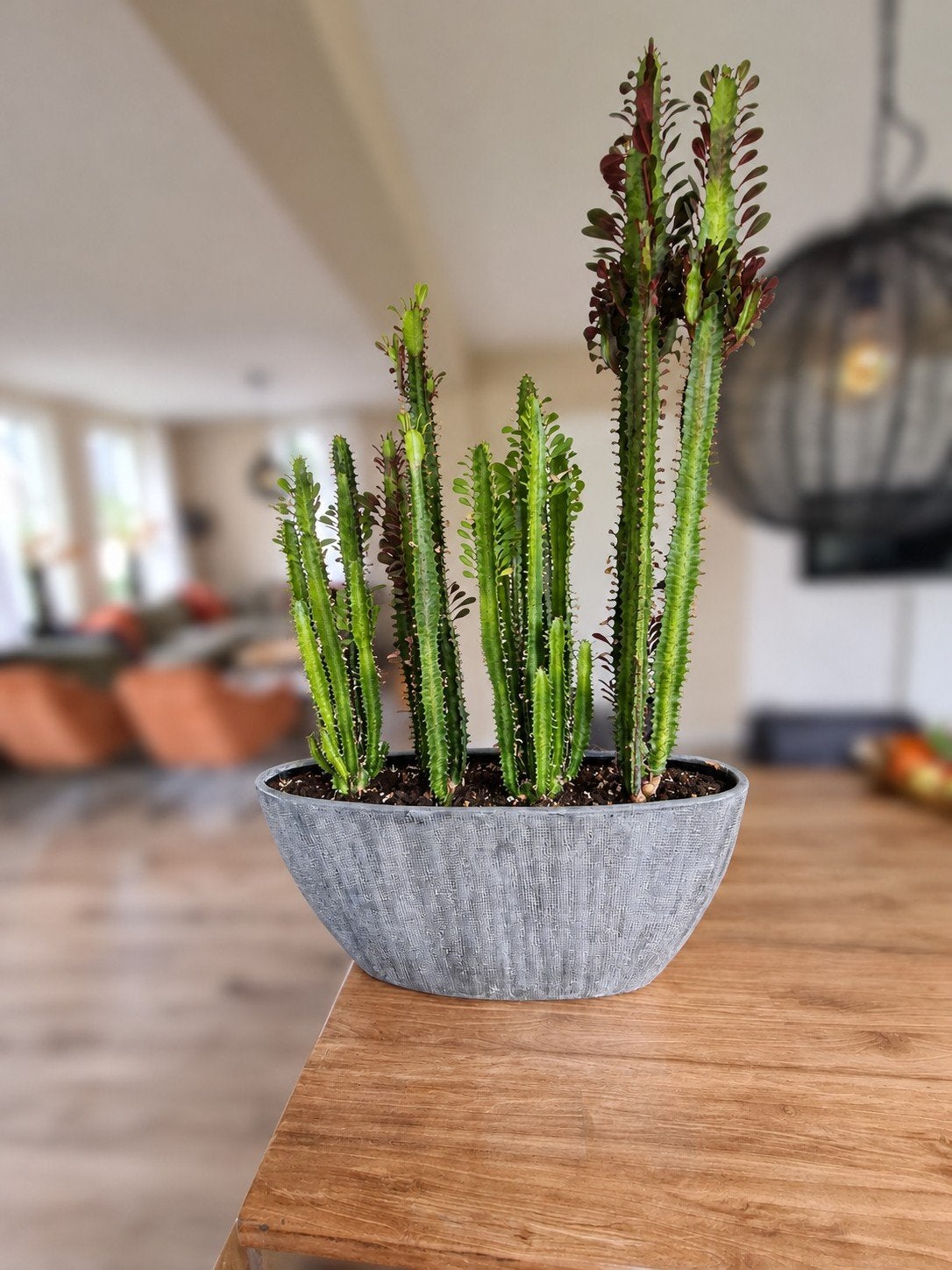 Stijlvolle bloempot, Tuin en Terras, Ophalen, Steen, Zo goed als nieuw, Binnen
