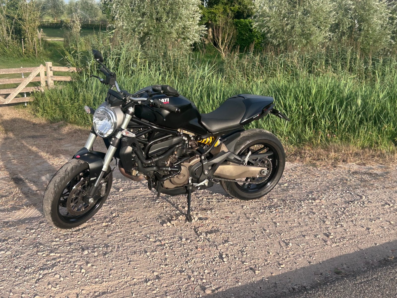 Ducati Monster 821 - Desmo beurt gehad! met historie, Motoren, 2 cilinders, Gebruikt, Particulier, Meer dan 35 kW