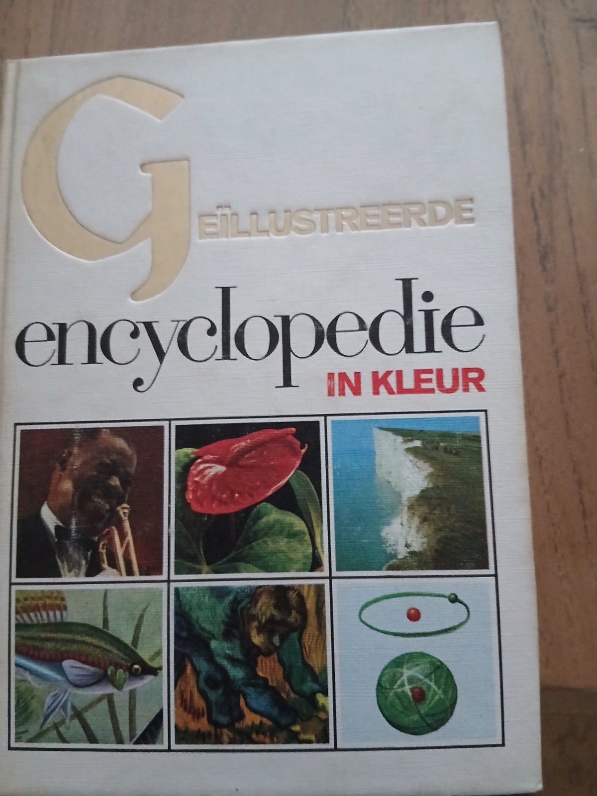 Geïllustreerde Encyclopedie in Kleur - Complete Serie, Boeken, Encyclopedieën, Ophalen, Gelezen, Algemeen, Complete serie