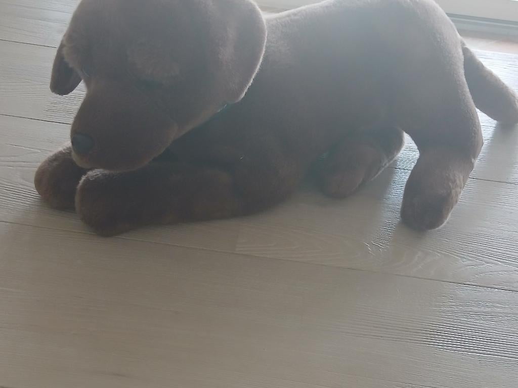 Pluche levensechte labrador, Kinderen en Baby's, Speelgoed | Knuffels en Pluche, Ophalen, Overige typen, Nieuw, Middelgroot (20 tot 80 cm)