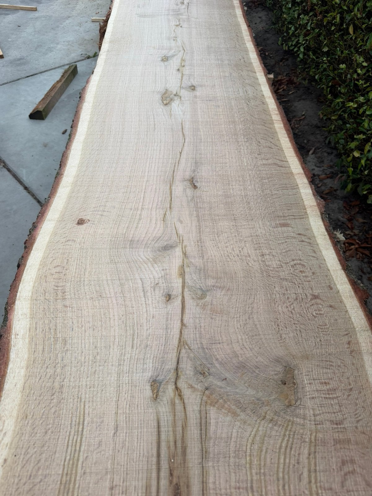 Zeer mooie eiken Schaaldelen 310x55x3,5 cm, Tuin en Terras, Ophalen, Zo goed als nieuw, 250 cm of meer, Planken