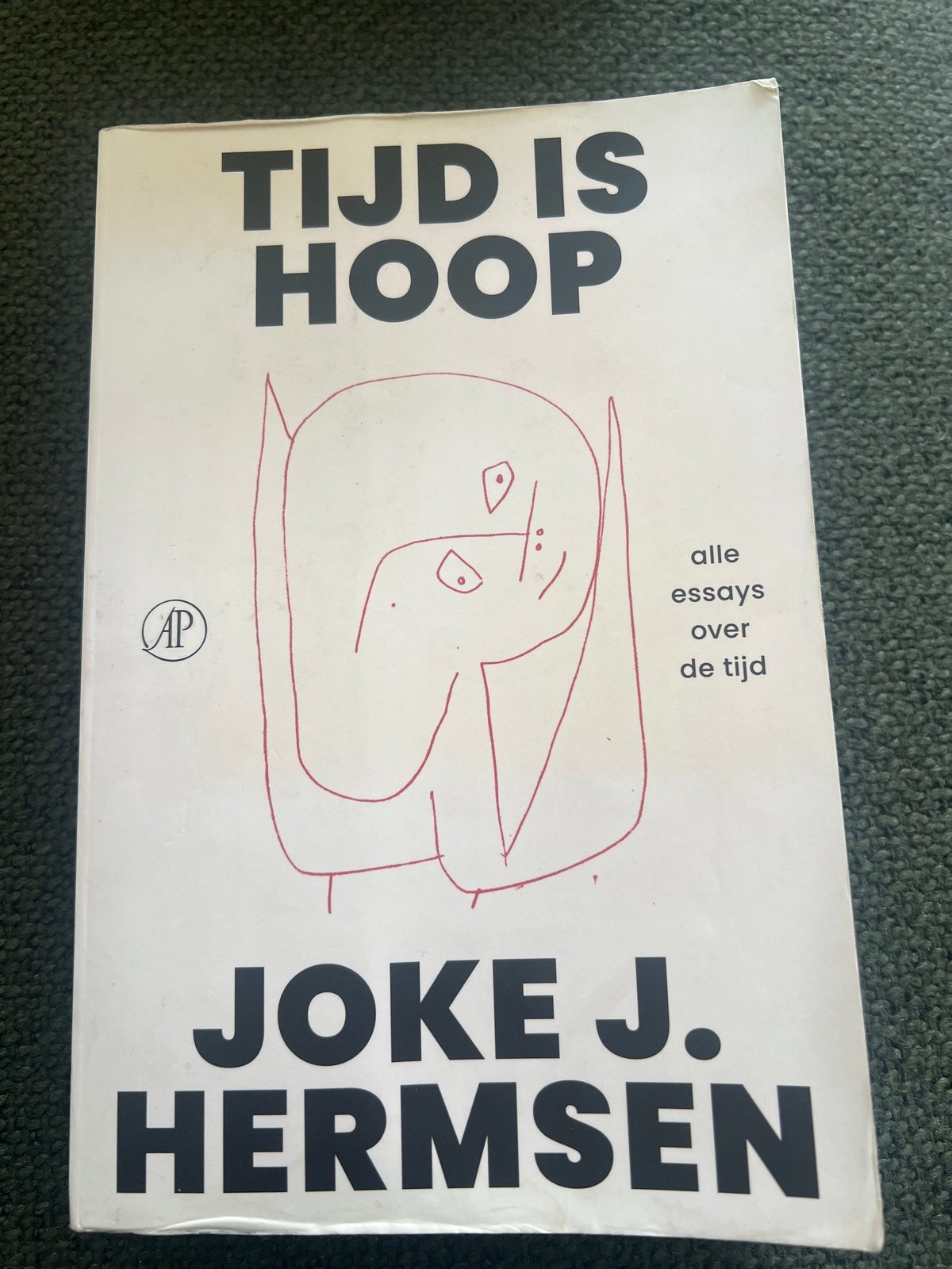 Tijd is Hoop - Essays over tijd van Joke J. Hermsen, Boeken, Ophalen of Verzenden, Gelezen, Eén auteur