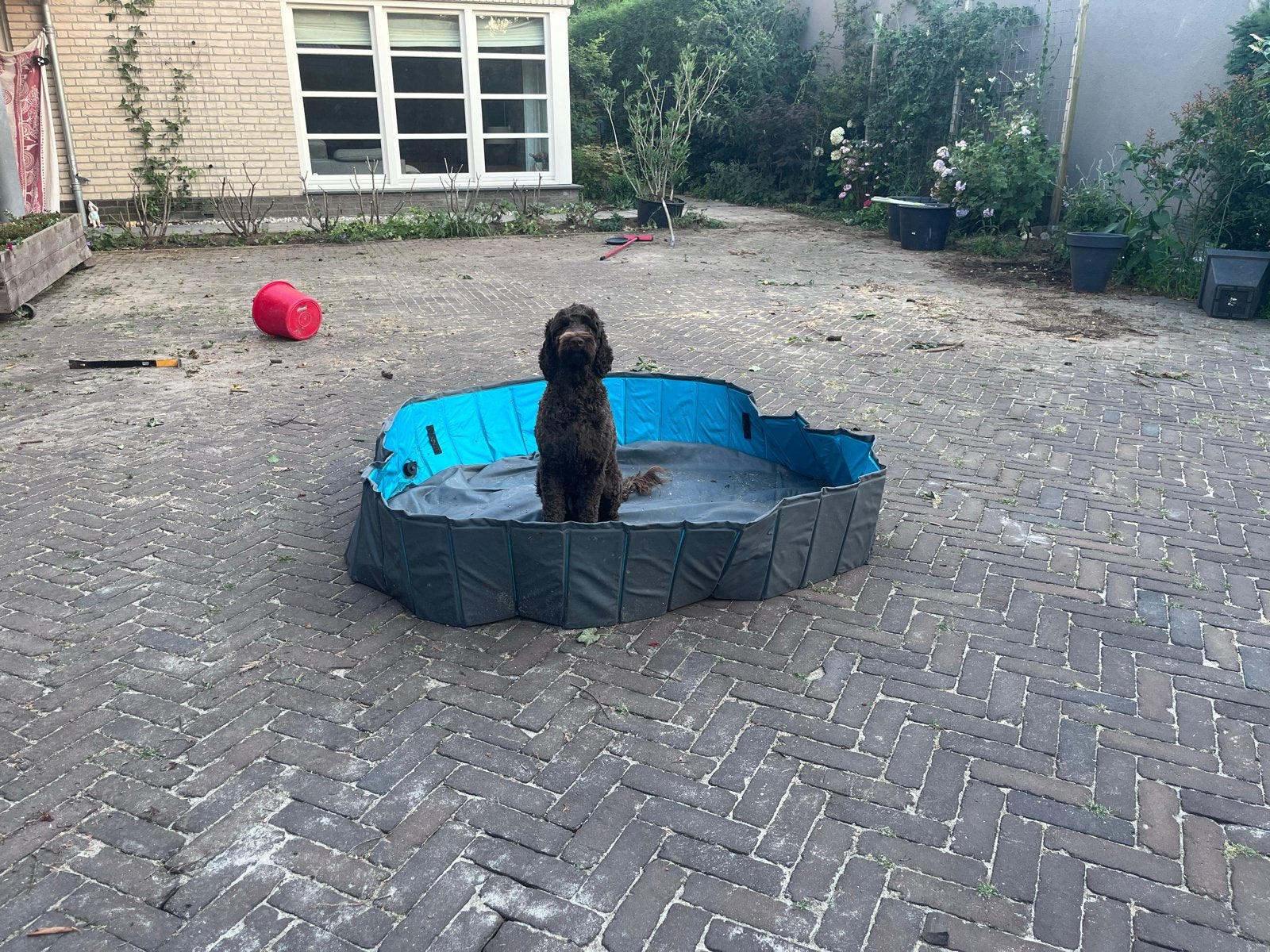 Hondenzwembad 120X30, Dieren en Toebehoren, Ophalen