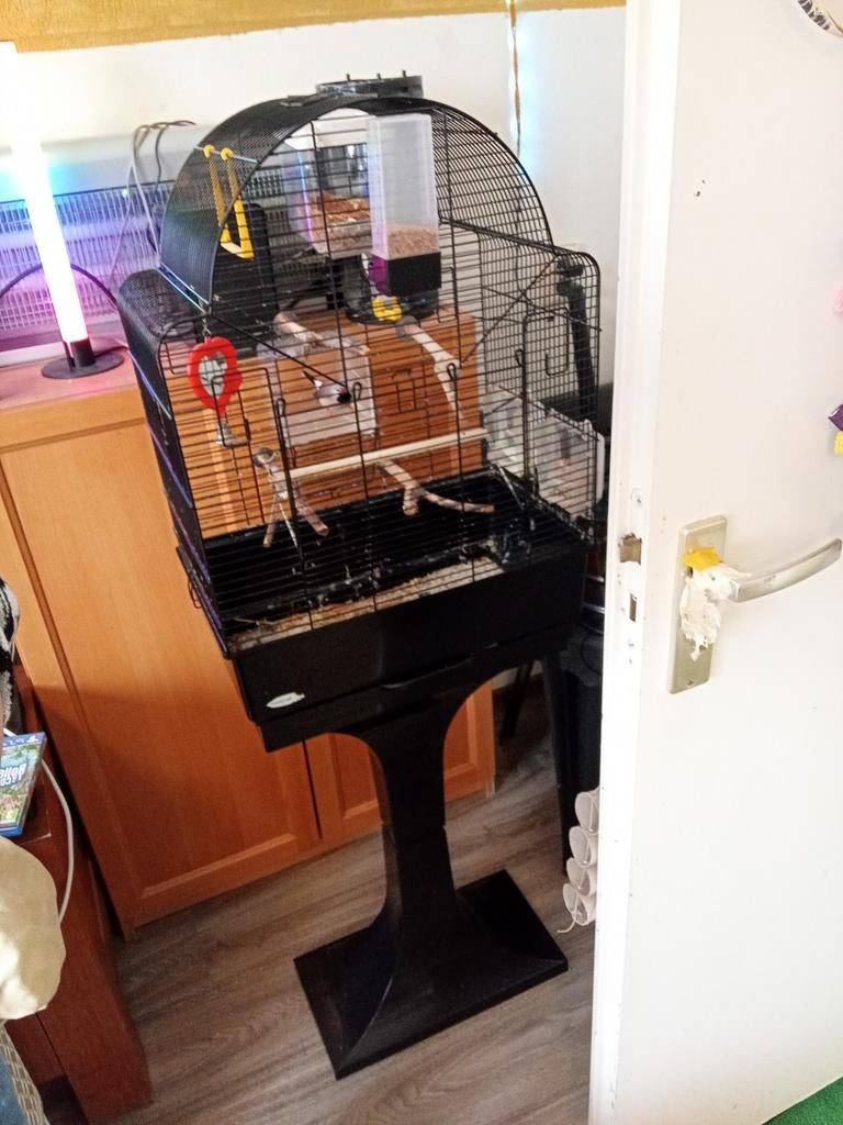 Splitstaard amadene +Vogel kooi inclusief standaard TE KOOP, Ophalen, Zo goed als nieuw, Metaal, Vogelkooi