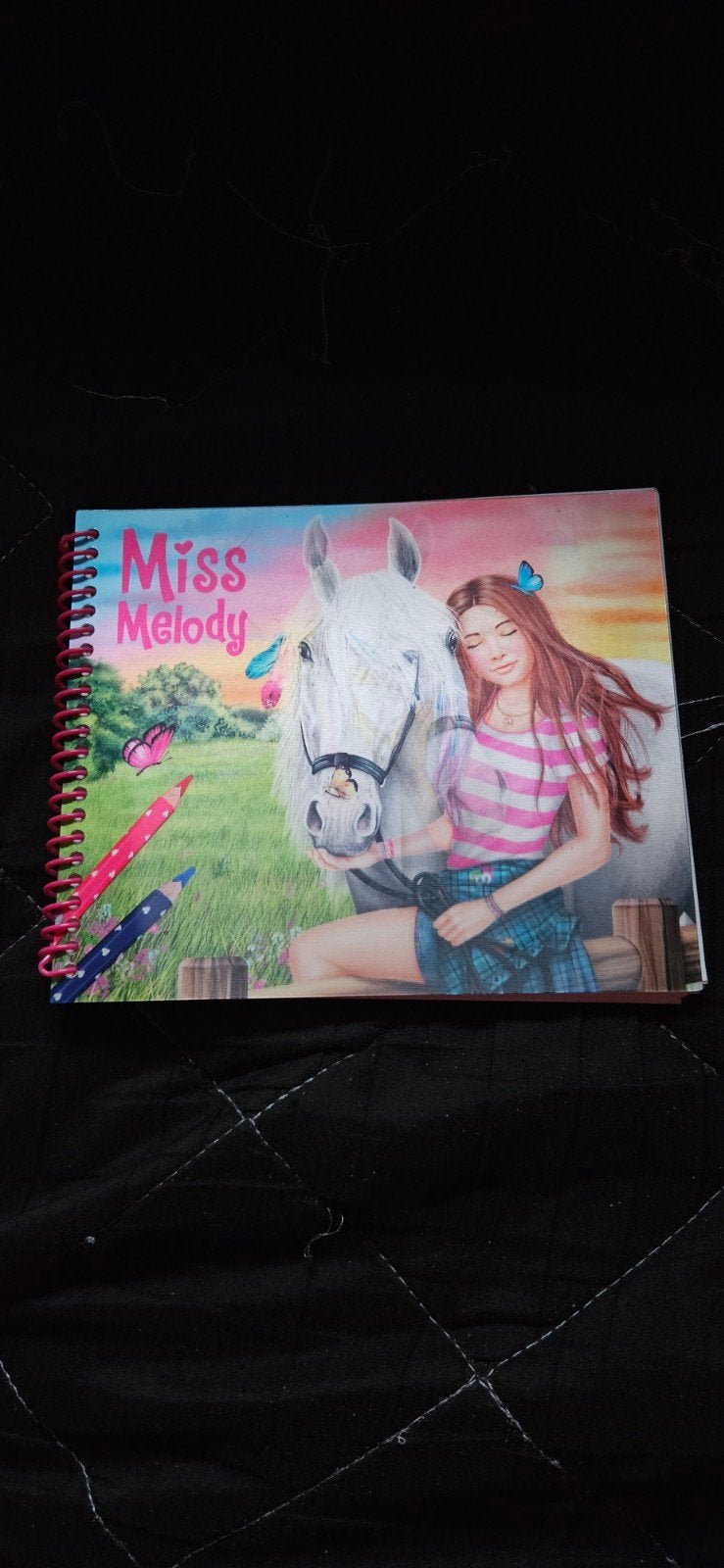 Miss Melody topmodels- paarden en ruiters, Ophalen of Verzenden