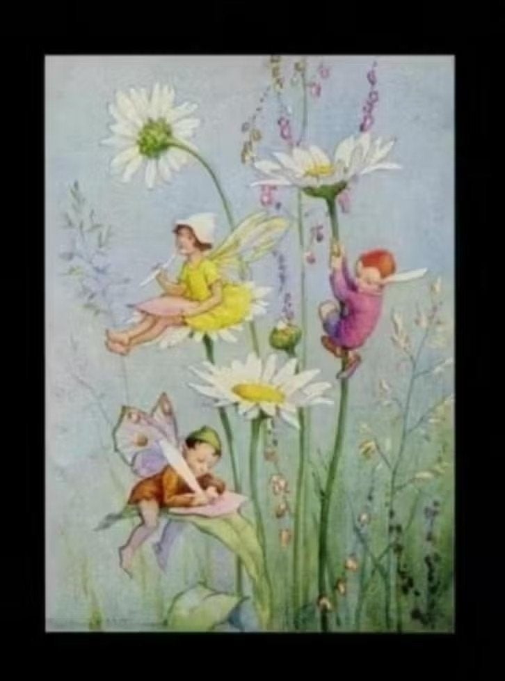 Elfen Margrieten Joan in Flowerland Margaret Tarrant., Ophalen of Verzenden, 1980 tot heden, Ongelopen, Kinderen