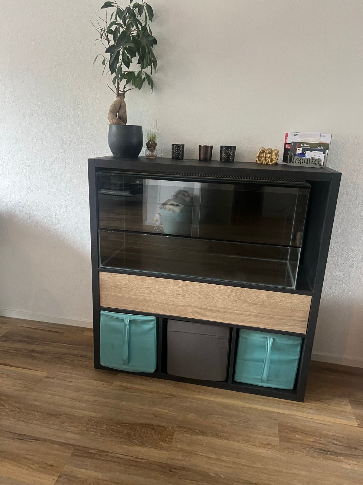 Hamster terrarium., Ophalen, Overige typen