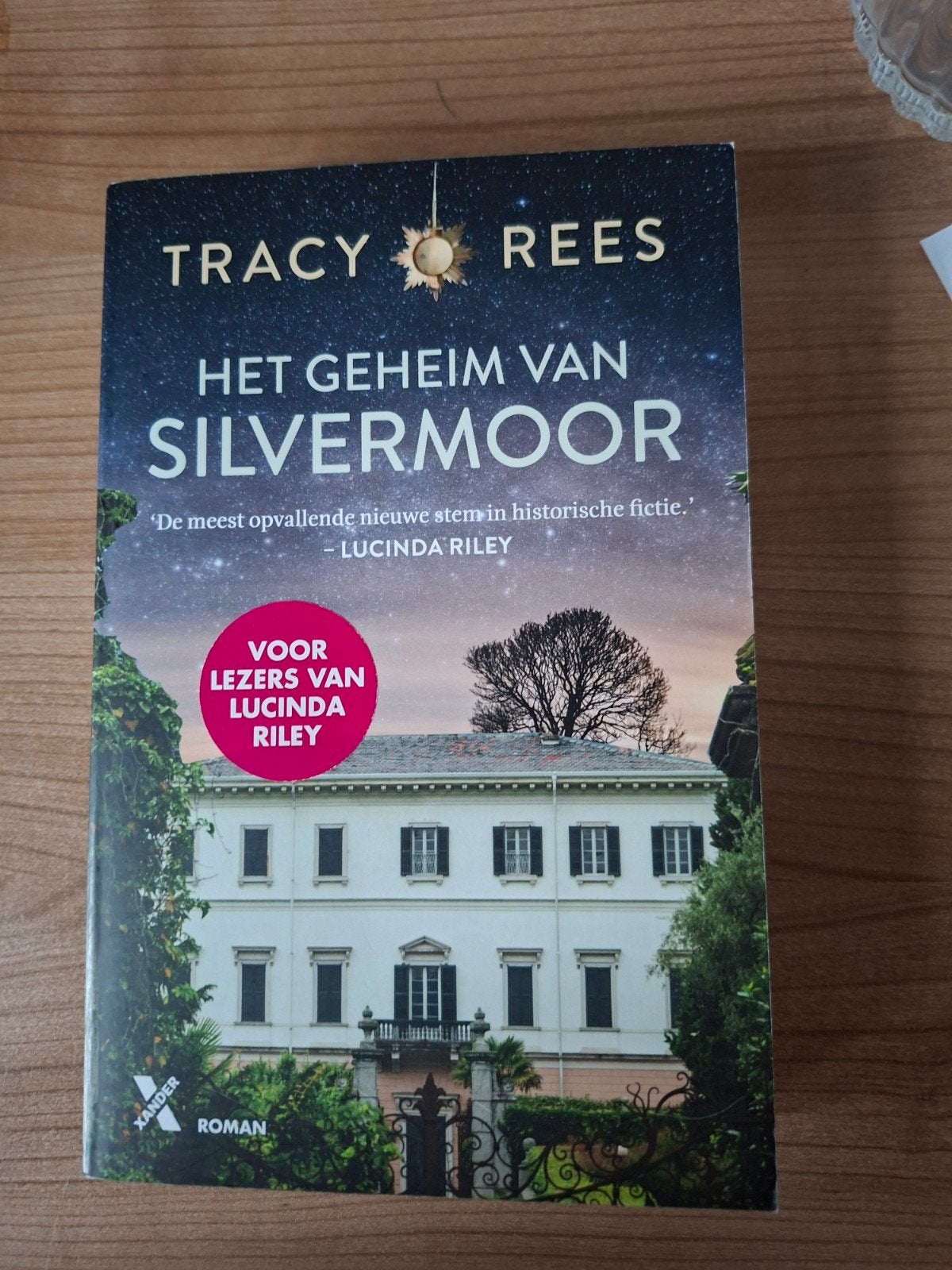 Het Geheim van Silvermoor - Tracy Rees, Boeken, Romans, Zo goed als nieuw, Europa overig, Ophalen of Verzenden