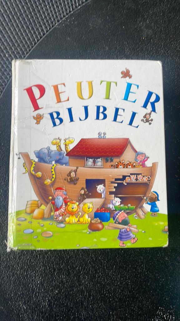 Peuterbijbel - Juliet David & Helen Prole (Ark Media), Ophalen of Verzenden, Gelezen, 2 tot 3 jaar