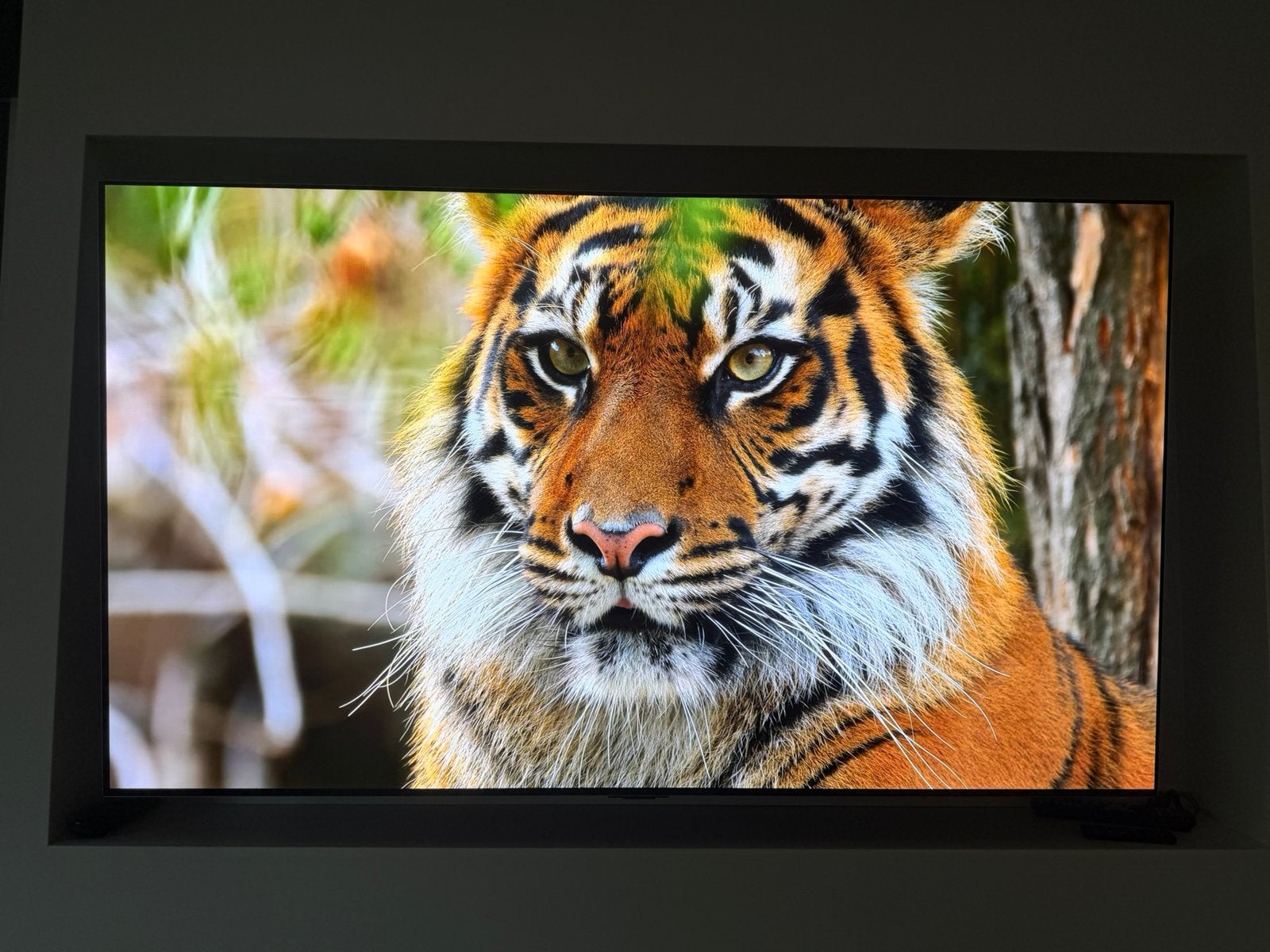 LG G4 65” (OLED65G45LW): goedwerkend in doos en beugel