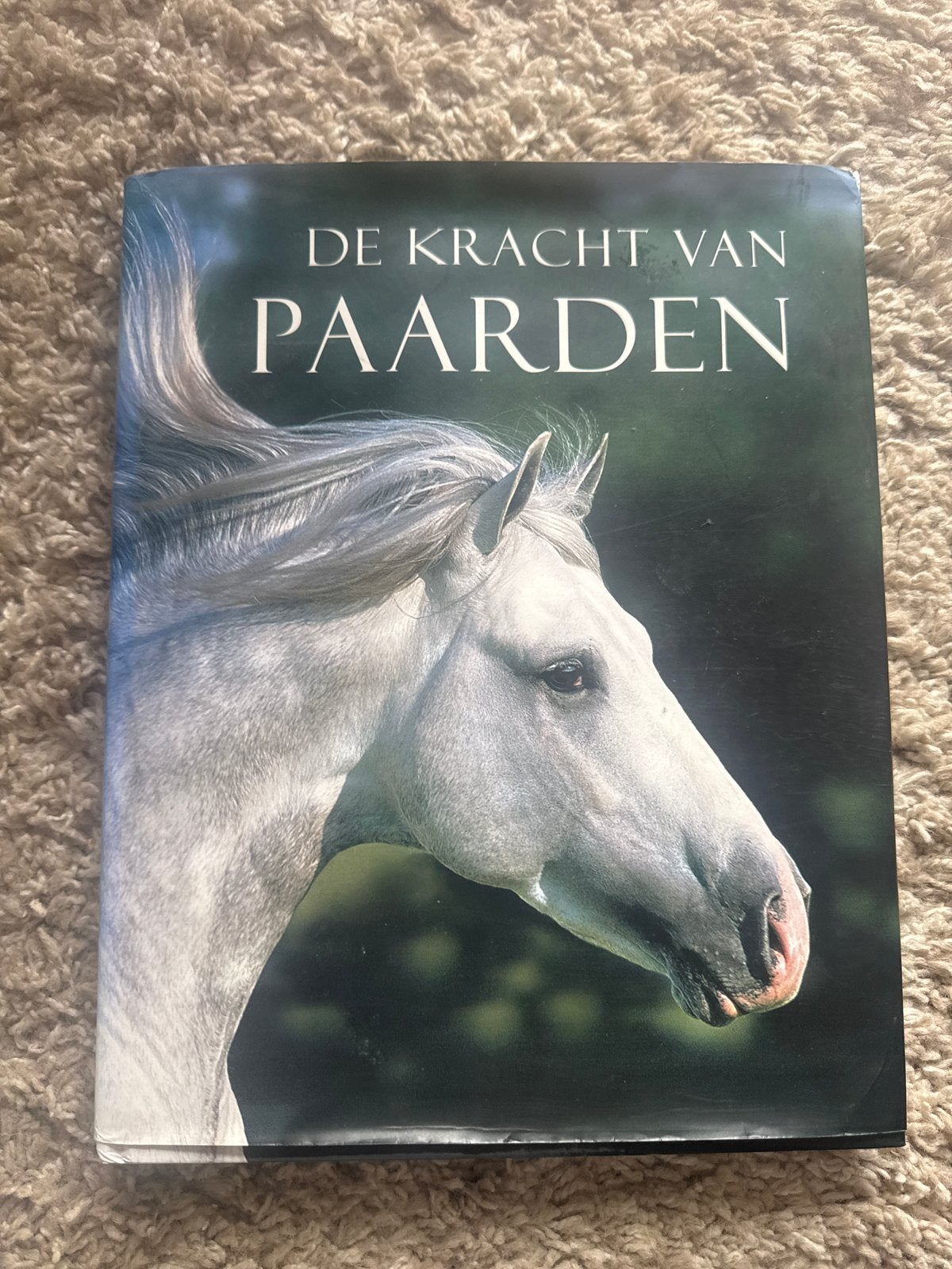 Paardenboeken collectie - 5 stuks, Boeken, Ophalen of Verzenden, Gelezen, Paarden of Pony's