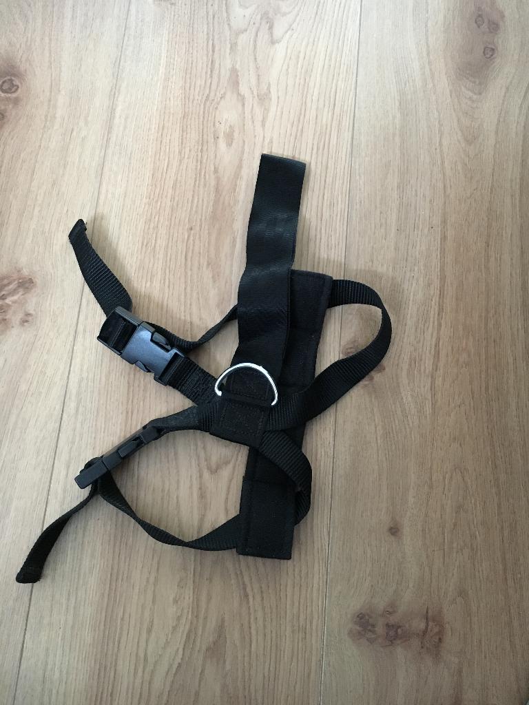 Veiligheidstuig voor de hond in de auto maat S, Dieren en Toebehoren, Ophalen of Verzenden, Nieuw, Hondenriem-accessoire