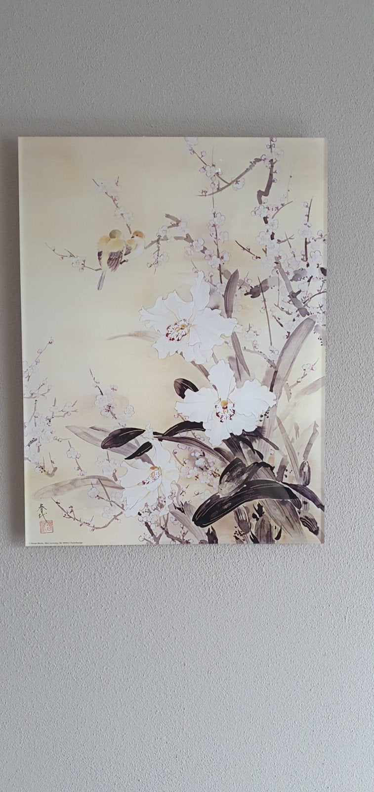 Print van Haruyo Morita achter plexiglas OPHALEN 40x30 cm, Ophalen