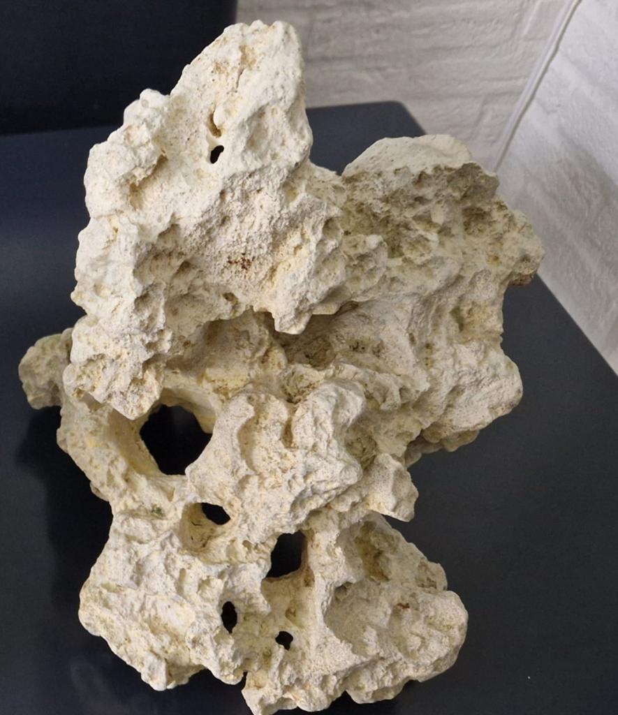 Te koop 1 stuks XXL kunst maansteen

 Dus geen steen, Dieren en Toebehoren, Ophalen of Verzenden, Leeg aquarium