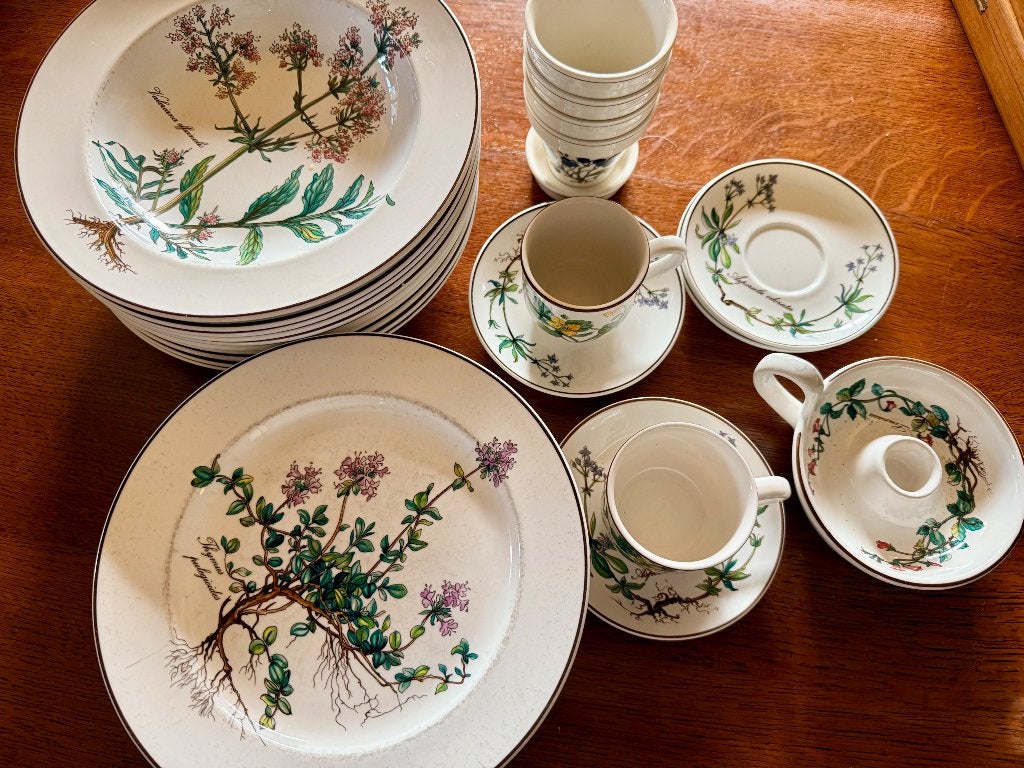 Villeroy & Boch Botanica servies met kandelaar + plantpotjes, Ophalen, Gebruikt, Villeroy & Boch, Bord(en)