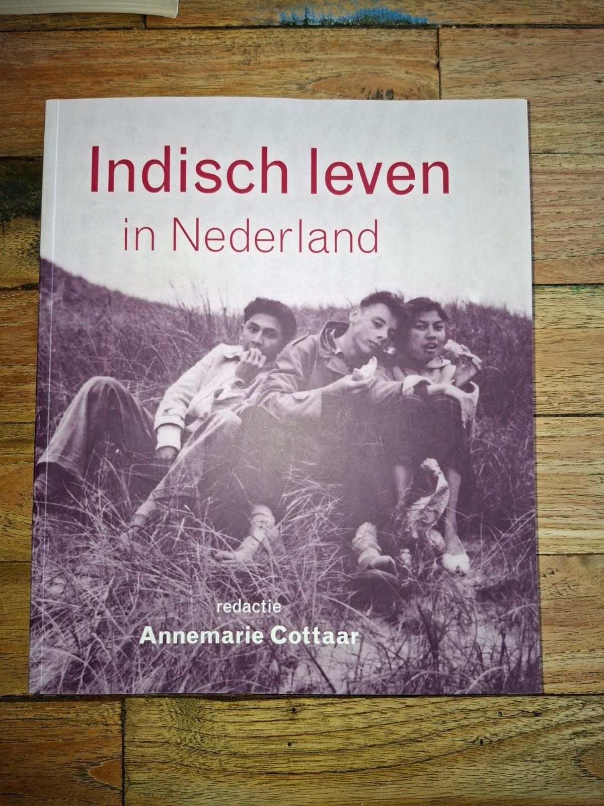 Indisch leven in Nederland - Annemarie Cottaar, Ophalen of Verzenden, 20e eeuw of later, Zo goed als nieuw, Annemarie Cottaar