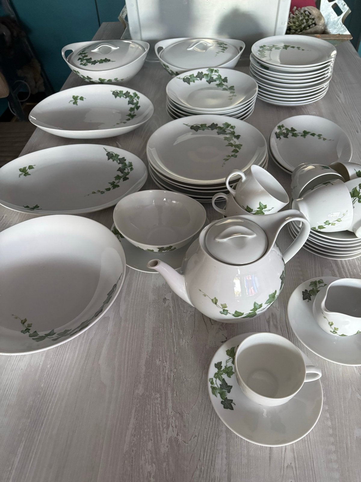 Eschenbach Bavaria-Germany servies - Hedera (klimop), Ophalen, Overige merken, Klassiek, Zo goed als nieuw