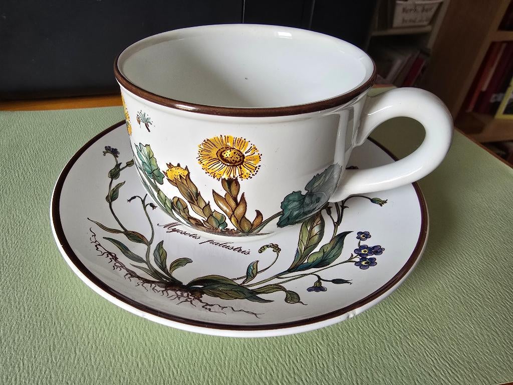 Botanica 8 koppen en schotels, Huis en Inrichting, Keuken | Servies, Ophalen of Verzenden, Zo goed als nieuw, Overige stijlen