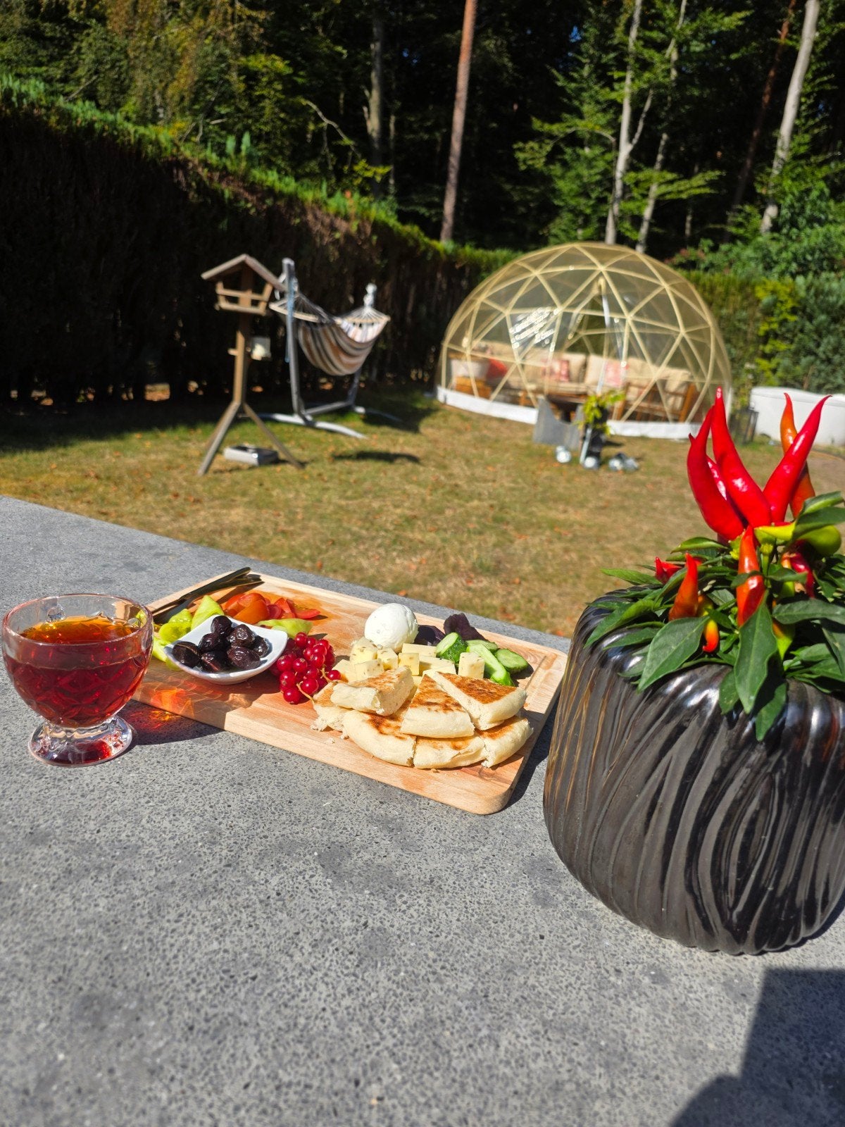 Ruime Iglo Tent - Ideaal voor Tuin of Evenementen, Caravans en Kamperen, Tenten, Ophalen, Gebruikt, Meer dan 6