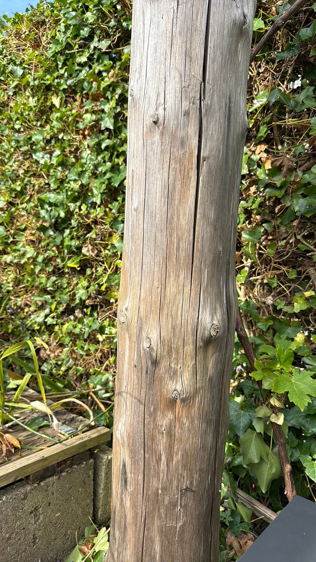 Houtennbalken gratis ophalen, Tuin en Terras, Ophalen, Gebruikt, 250 cm of meer, Palen