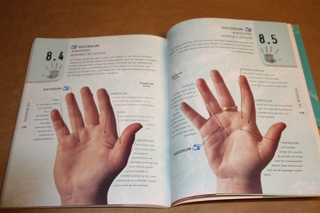Handlezen. Toekomst in de hand. Tre McCamley., Boeken, Ophalen of Verzenden, Gelezen, Overige onderwerpen, Achtergrond en Informatie