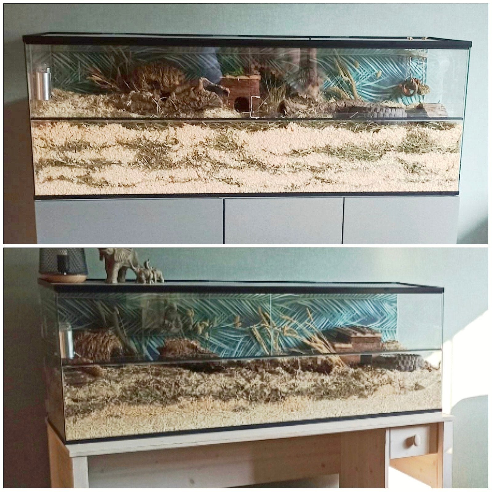 Terrarium, hamtarium, hamster glazen verblijf. 140l/40b/50h, Ophalen, Zo goed als nieuw, Terrarium of Paludarium