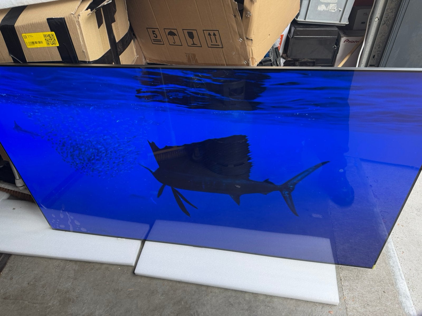 Foto 8 van Lg oled c5 65 inch