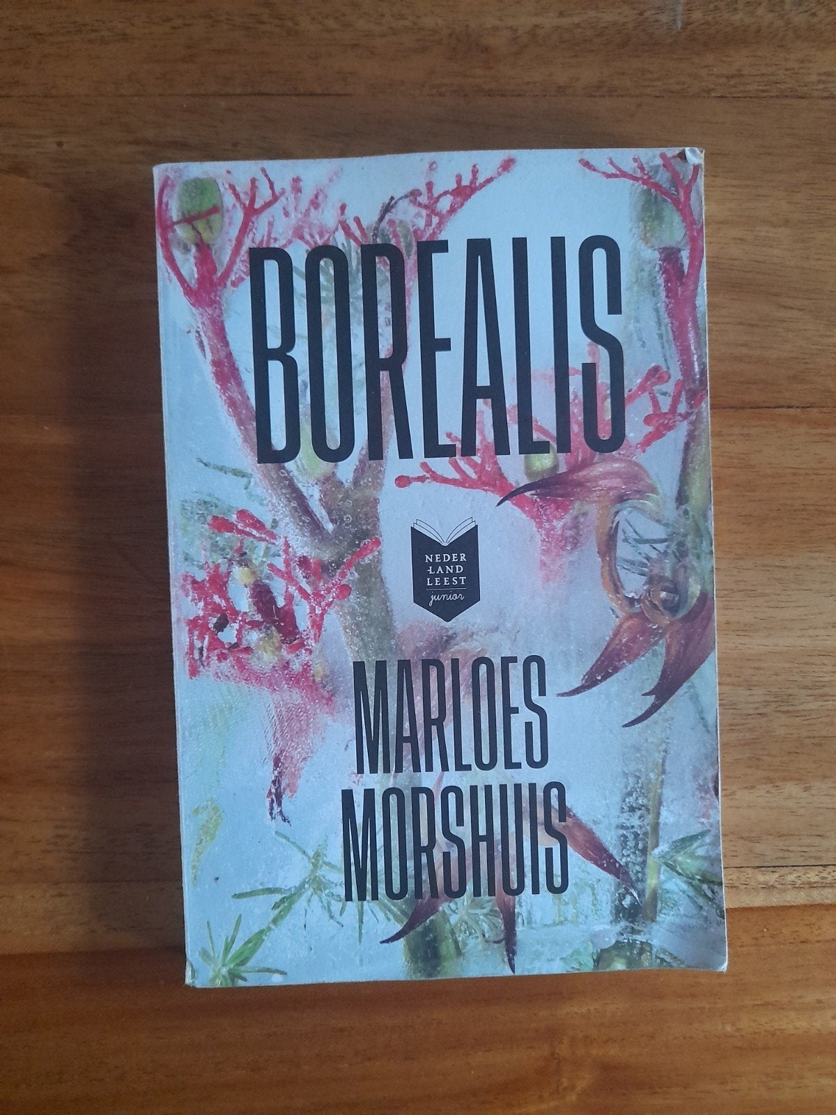 Borealis - Marloes Morshuis (Jeugdboek), Ophalen of Verzenden, Gelezen, Marloes Morshuis, Nederland