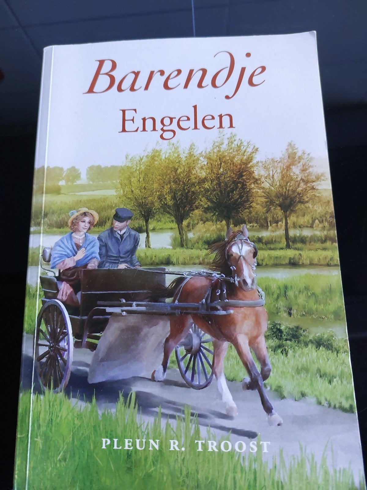 Pleun R. Troost - Barendje Engelen, Boeken, Ophalen, Noord-Brabant, Zo goed als nieuw, Pleun R. Troost