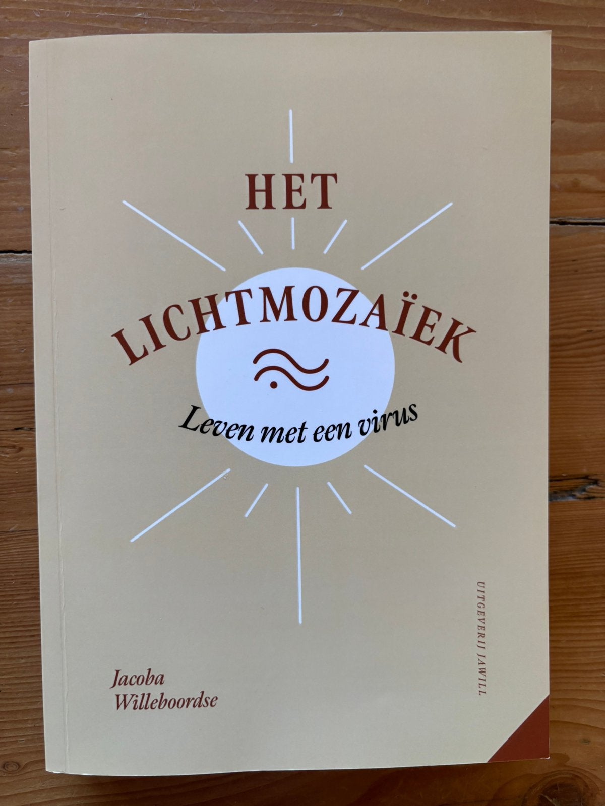 Het lichtmozaiek - Jacoba Willeboordse, Boeken, Ophalen of Verzenden, Overige onderwerpen, Achtergrond en Informatie