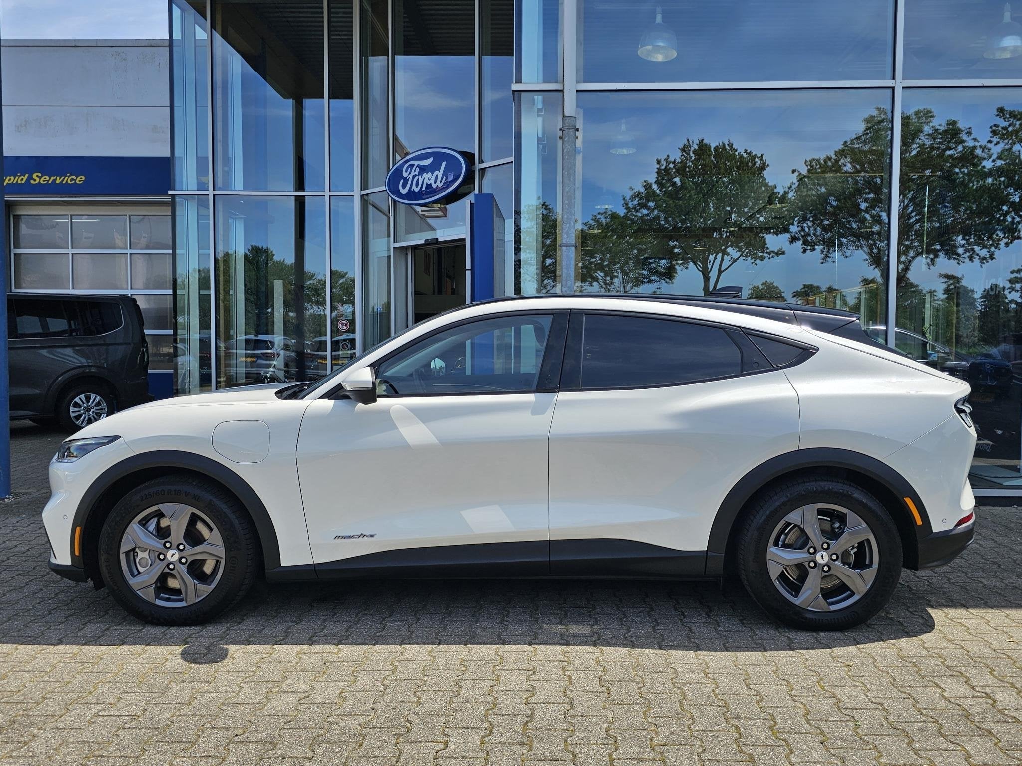 Ford Mustang Mach-E RWD 75 kWh | 59.800 KM | SOH 93% | Leder, Auto's, Automaat, Achterwielaandrijving, Gebruikt, 40 min