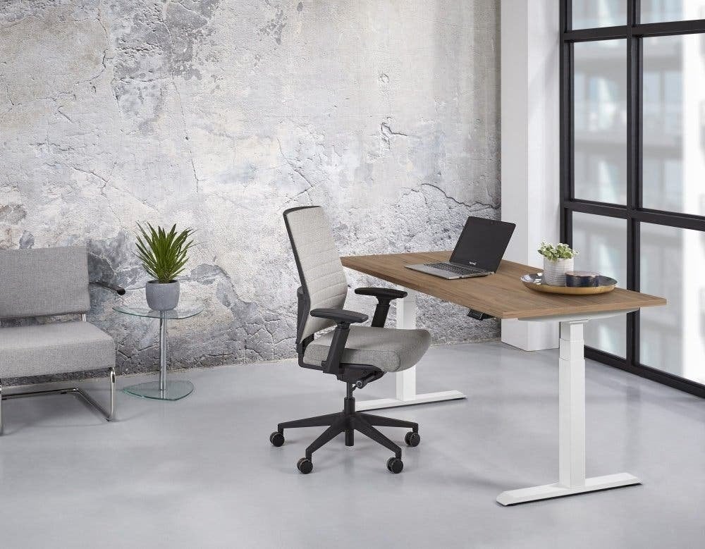 Premium elek. zit/sta bureau, Diverse afmetingen en kleuren, Zit-sta bureau, Elektrisch, 120 cm, Metaal