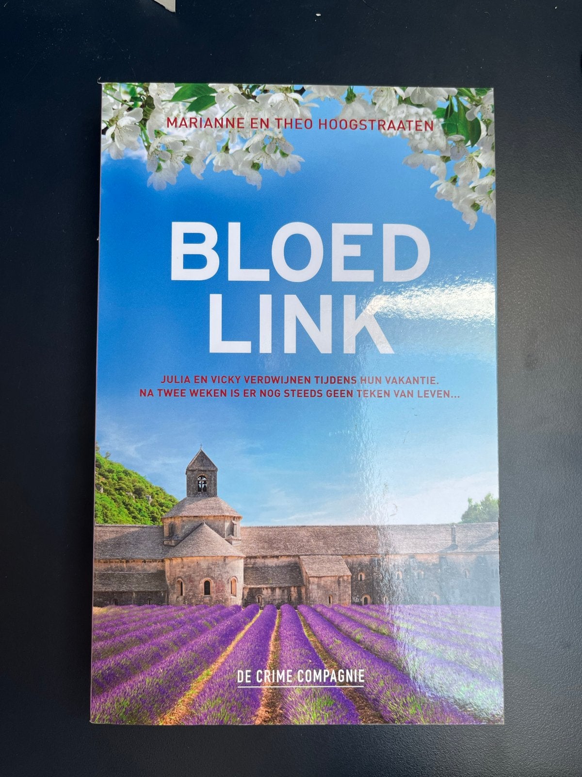 Bloedlink - Marianne en Theo Hoogstraten, Ophalen of Verzenden, Zo goed als nieuw