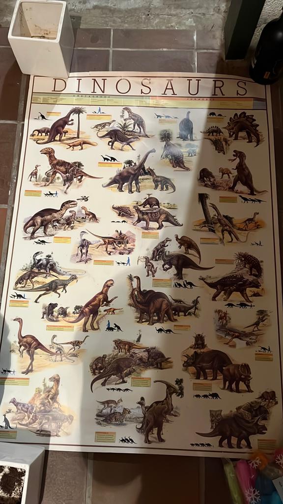 Poster dino 90x63, Ophalen, Zo goed als nieuw