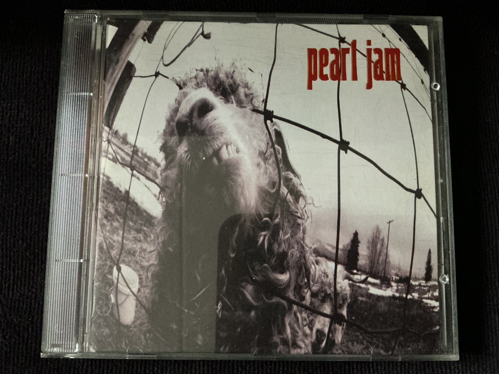 Pearl Jam, VS cd, Ophalen of Verzenden, Zo goed als nieuw