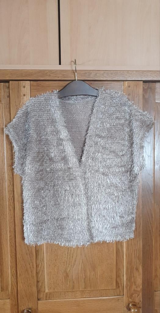 Harig vestje, Ophalen, Zo goed als nieuw, Maat 38/40 (M), Beige